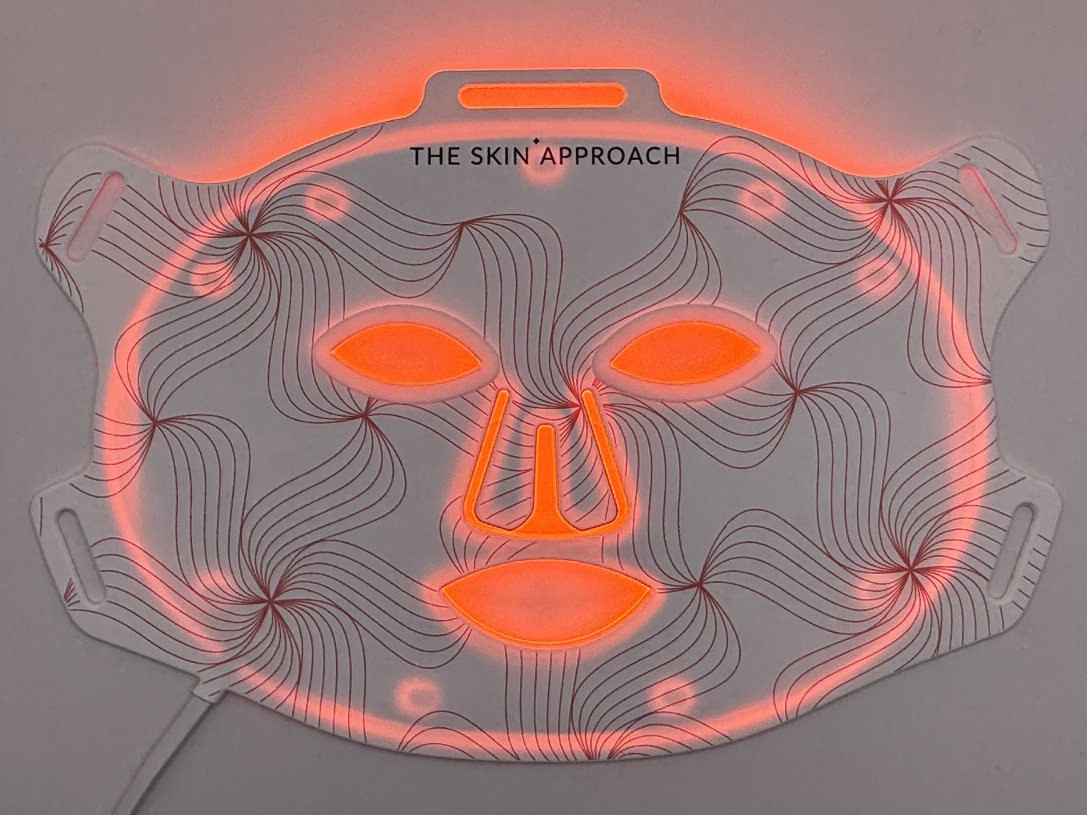 LED Face Mask